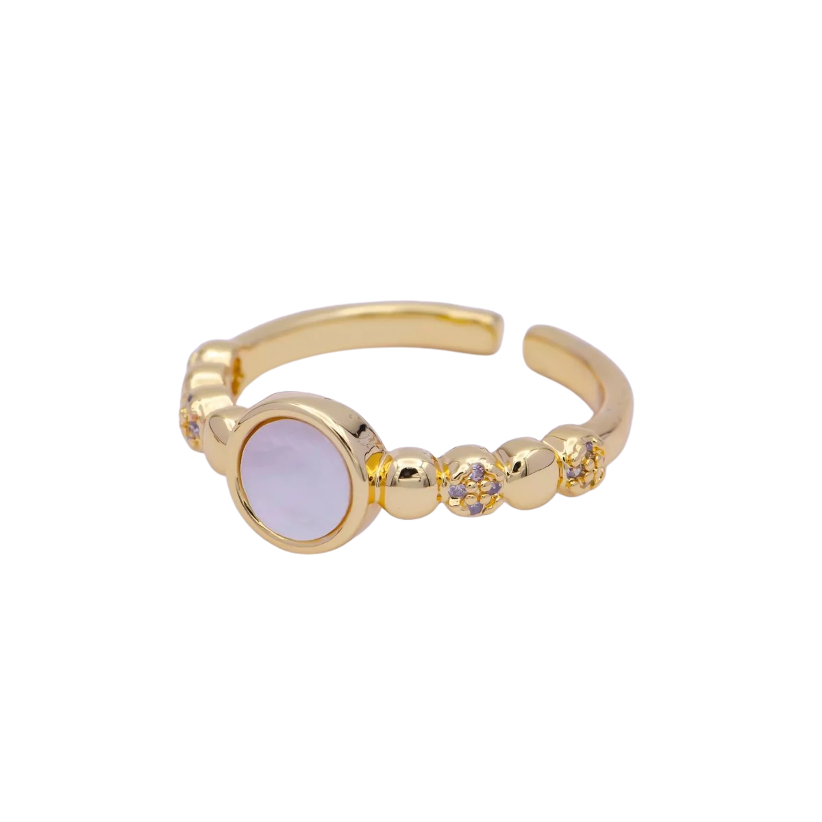 Shell Ring
